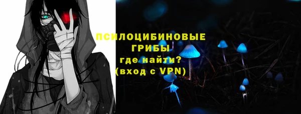 прущие крисы Абаза