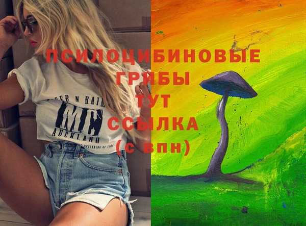 гидропоника Абинск