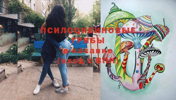 прущие крисы Абаза