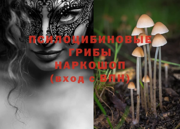 амф Абдулино